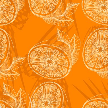 Okaliptüs yaprakları. Çiçekli botanik çiçeği. İzole illüstrasyon elementi. Arkaplan, doku, ambalaj deseni, çerçeve veya kenar çizimi için vektör el.