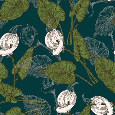 Calla Lily Zarif, kusursuz el çizimi. Basit şekilli çağdaş bir kolaj. Kağıt, kapak, kumaş, duvar kağıdı, iç mimari için modern egzotik tasarım. Vektör grafikleri.