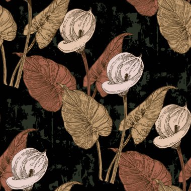 Calla Lily Zarif, kusursuz el çizimi. Basit şekilli çağdaş bir kolaj. Kağıt, kapak, kumaş, duvar kağıdı, iç mimari için modern egzotik tasarım. Vektör grafikleri.