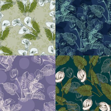 Calla Lily Zarif, kusursuz el çizimi. Basit şekilli çağdaş bir kolaj. Kağıt, kapak, kumaş, duvar kağıdı, iç mimari için modern egzotik tasarım. Vektör grafikleri.