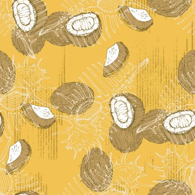 Hindistan cevizi ve deniz kabuğu zarif, pürüzsüz el çizimi. Basit şekilli çağdaş bir kolaj. Kağıt, kapak, kumaş, duvar kağıdı, iç mimari için modern egzotik tasarım. Vektör grafikleri.