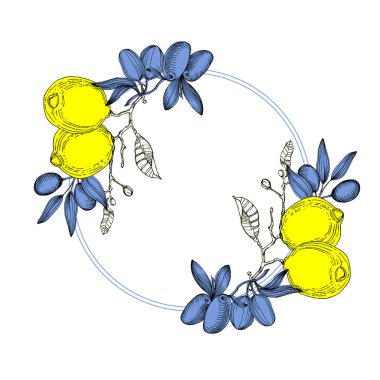 Zeytin ve limonlu kusursuz desen. Renkli taslak stili el çizimi arka plan. Ayrıntılı illüstrasyon, el çizimi. Kumaş ve tekstil için harika, parmak izleri, davetiye, ambalaj, ya da herhangi bir istenen fikir için..