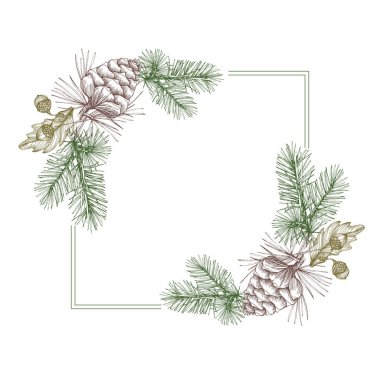 Çam kozalakları ve meşe palamudu ile daire yapın. El çizimi yuvarlak sınır, yapraklar ve çiçekler, düğün davetiyesi ve kartlar, logo tasarımı ve poster şablonu. Zarif minimal çiçek vektörü izole edildi