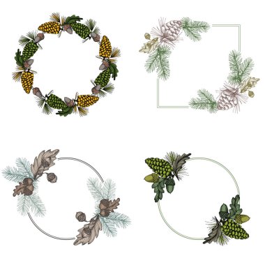 Kozalaklı ve meşe palamutlu kusursuz desen. Renkli taslak stili el çizimi arka plan. Ayrıntılı illüstrasyon, el çizimi. Kumaş ve tekstil için harika, parmak izleri, davetiye, ambalaj, ya da herhangi bir istenen fikir için..