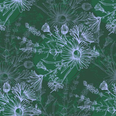 Lavantalı ve papatyalı kusursuz desen. Renkli taslak stili el çizimi arka plan. Ayrıntılı illüstrasyon, el çizimi. Kumaş ve tekstil için harika, parmak izi, davetiye, ambalaj