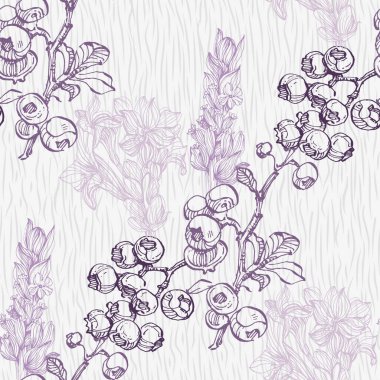 Yabanmersinli ve lavantalı kusursuz desen. Renkli taslak stili el çizimi arka plan. Ayrıntılı illüstrasyon, el çizimi. Kumaş ve tekstil için harika, parmak izi, davetiye, ambalaj