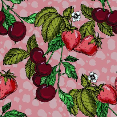 Çilekli ve kirazlı kusursuz desen. Renkli taslak stili el çizimi arka plan. Ayrıntılı illüstrasyon, el çizimi. Kumaş ve tekstil için harika, parmak izi, davetiye, ambalaj