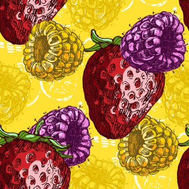 Çilek ve ahududulu kusursuz desen. Renkli taslak stili el çizimi arka plan. Ayrıntılı illüstrasyon, el çizimi. Kumaş ve tekstil için harika, parmak izi, davetiye, ambalaj