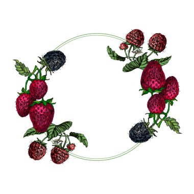 Çilek ve ahududulu daire şeklinde çerçeve. El çizimi yuvarlak sınır, yapraklar ve çiçekler, düğün davetiyesi ve kartlar, logo tasarımı ve poster şablonu. Zarif asgari tarz çiçek.