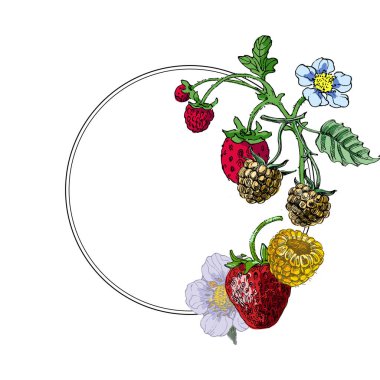 Çilek ve ahududulu daire şeklinde çerçeve. El çizimi yuvarlak sınır, yapraklar ve çiçekler, düğün davetiyesi ve kartlar, logo tasarımı ve poster şablonu. Zarif asgari tarz çiçek..