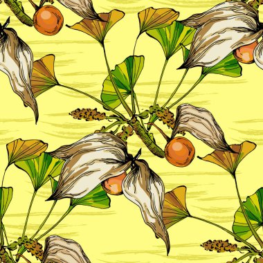 Ginkgo ve Physalis ile kusursuz desen. Renkli taslak stili el çizimi arka plan. Ayrıntılı illüstrasyon, el çizimi. Kumaş ve tekstil için harika, parmak izi, davetiye, ambalaj