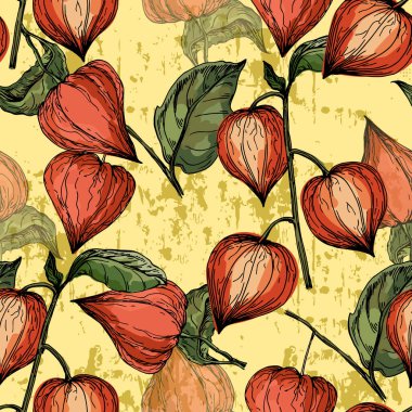 Ginkgo ve Physalis ile kusursuz desen. Renkli taslak stili el çizimi arka plan. Ayrıntılı illüstrasyon, el çizimi. Kumaş ve tekstil için harika, parmak izi, davetiye, ambalaj