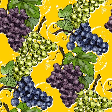 Üzümlü ve armutlu kusursuz desen. Renkli taslak stili el çizimi arka plan. Ayrıntılı illüstrasyon, el çizimi. Kumaş ve tekstil için harika, parmak izi, davetiye, ambalaj