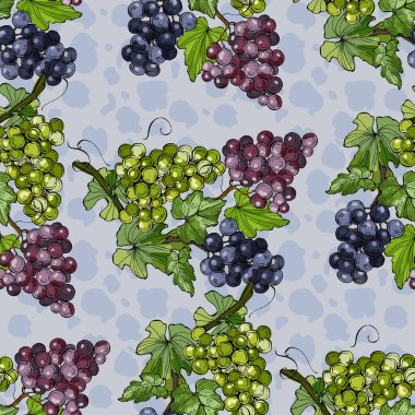 Üzümlü ve armutlu kusursuz desen. Renkli taslak stili el çizimi arka plan. Ayrıntılı illüstrasyon, el çizimi. Kumaş ve tekstil için harika, parmak izi, davetiye, ambalaj