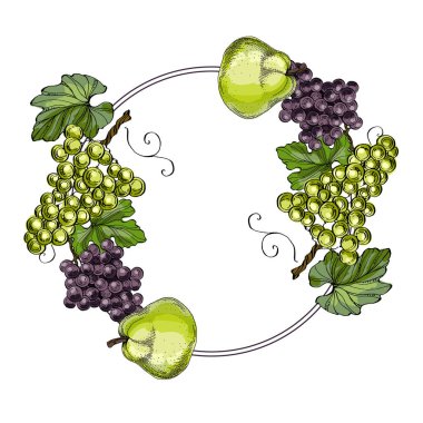 Üzüm ve armutla daire çiz. El çizimi yuvarlak sınır, yapraklar ve çiçekler, düğün davetiyesi ve kartlar, logo tasarımı ve poster şablonu. Zarif asgari tarz çiçek..