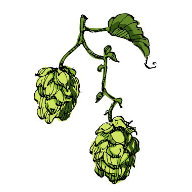 Estetik bitkiler beyaz arkaplanda izole olarak zıplarlar