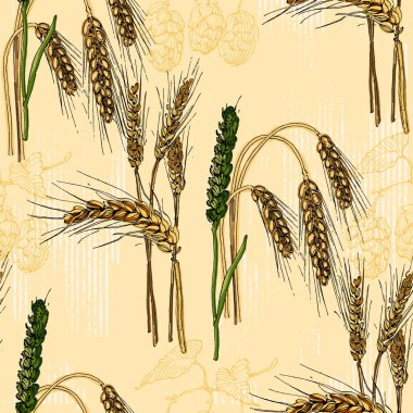 Zıpzıp ve buğdaylı kusursuz desen. Renkli taslak stili el çizimi arka plan. Ayrıntılı illüstrasyon, el çizimi. Kumaş ve tekstil için harika, parmak izleri, davetiye, ambalaj, ya da herhangi bir istenen fikir için..