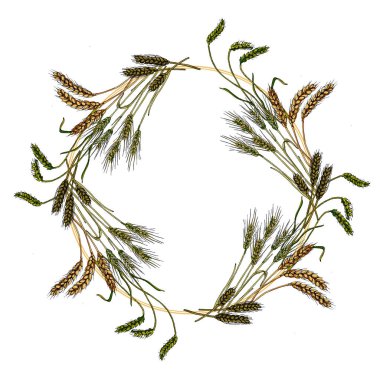 Zıpzıp ve buğdayla daire çiz. El çizimi yuvarlak sınır, yapraklar ve çiçekler, düğün davetiyesi ve kartlar, logo tasarımı ve poster şablonu. Zarif asgari tarz çiçek..