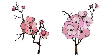 Kiraz çiçeği vektörü. Pembe sakura çiçeği arkaplanı. Çiçek açan kiraz çiçeği taşıyıcısı. Sakura çiçekli kiraz çiçeği dalı. Beyaz arkaplanda Sakura.