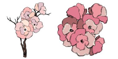 Kiraz çiçeği vektörü. Pembe sakura çiçeği arkaplanı. Çiçek açan kiraz çiçeği taşıyıcısı. Sakura çiçekli kiraz çiçeği dalı. Beyaz arkaplanda Sakura.