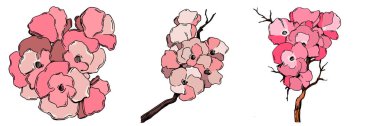 Kiraz çiçeği vektörü. Pembe sakura çiçeği arkaplanı. Çiçek açan kiraz çiçeği taşıyıcısı. Sakura çiçekli kiraz çiçeği dalı. Beyaz arkaplanda Sakura.