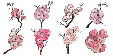 Kiraz çiçeği vektörü. Pembe sakura çiçeği arkaplanı. Çiçek açan kiraz çiçeği taşıyıcısı. Sakura çiçekli kiraz çiçeği dalı. Beyaz arkaplanda Sakura.