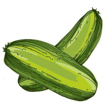 Sağlıklı beslenme için salatalık sebze çizimi ve vejetaryen diyet konsepti lezzetli besin vektörü. Eski usul oyma, paketleme, yazdırma, menüler ve dijital tasarımlar için mükemmel.