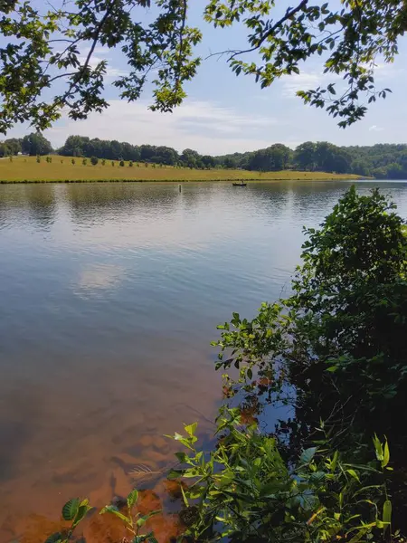 stock image Still Lake Quiet Day