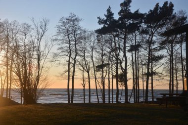 Baltık Denizi sahilinde gün batımı