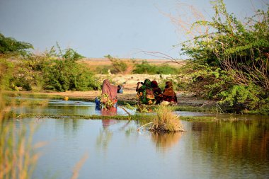 Springs in the Danakil's desert depression clipart