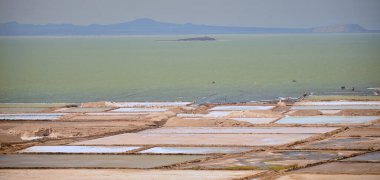 Springs in the Danakil's desert depression clipart