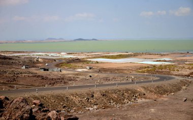 Danakil 'in çöl bunalımındaki pınarlar