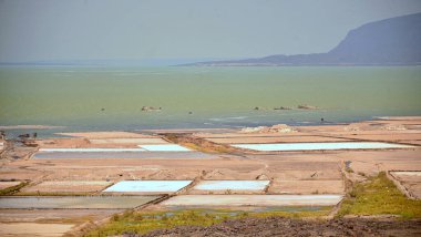 Springs in the Danakil's desert depression clipart