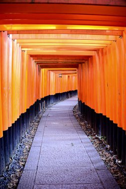 Japon Kyoto. Fushimi Inari Taisha, kami Inari 'ye adanmış ana tapınaktır. Tapınak, deniz seviyesinden 233 metre yukarıda olan Inari adlı dağın eteğinde yer almaktadır.