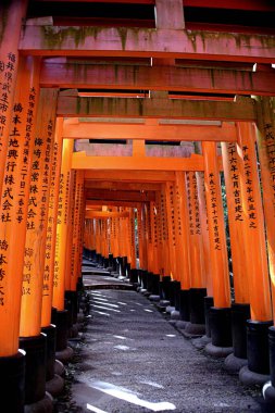 Japon Kyoto. Fushimi Inari Taisha, kami Inari 'ye adanmış ana tapınaktır. Tapınak, deniz seviyesinden 233 metre yukarıda olan Inari adlı dağın eteğinde yer almaktadır.