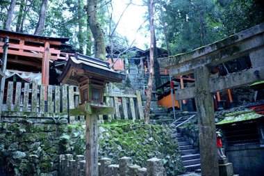 Japon Kyoto. Fushimi Inari Taisha, kami Inari 'ye adanmış ana tapınaktır. Tapınak, deniz seviyesinden 233 metre yukarıda olan Inari adlı dağın eteğinde yer almaktadır.