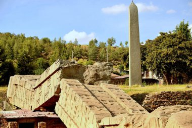 Axum, Tigray Bölgesi 'nde Etiyopya' nın kuzeyinde yer alan şehir. Axum 'daki 1000 stelae şehrin merhum hükümdarlarını ve soylularını onurlandırdı. Artık parkta ziyaret edilebilirler.