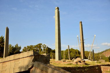 Axum, Tigray Bölgesi 'nde Etiyopya' nın kuzeyinde yer alan şehir. Axum 'daki 1000 stelae şehrin merhum hükümdarlarını ve soylularını onurlandırdı. Artık parkta ziyaret edilebilirler..