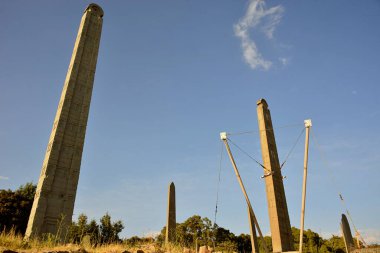 Axum, Tigray Bölgesi 'nde Etiyopya' nın kuzeyinde yer alan şehir. Axum 'daki 1000 stelae şehrin merhum hükümdarlarını ve soylularını onurlandırdı. Artık parkta ziyaret edilebilirler..