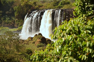 ETHIOPIA Mavi Nil Şelaleleri Etiyopya 'da bulunan şelalelerdir. Amharic 'te Tis Issat ya da Tissisat olarak bilinen bölge, Bahir Dar ve Tana Gölü' ne yaklaşık 30 km mesafede, nehrin ilk kısmında yer alıyor.