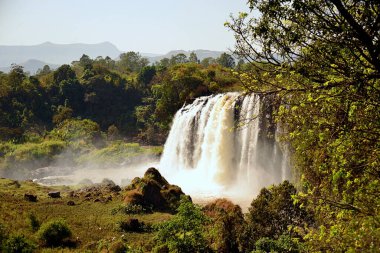 ETHIOPIA Mavi Nil Şelaleleri Etiyopya 'da bulunan şelalelerdir. Amharic 'te Tis Issat ya da Tissisat olarak bilinen bölge, Bahir Dar ve Tana Gölü' ne yaklaşık 30 km mesafede, nehrin ilk kısmında yer alıyor.