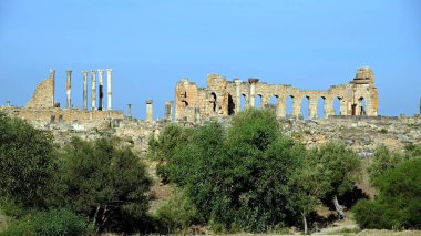 MoroCCO Volubilis, Fas 'ın en bilinen arkeolojik bölgesi olan ve UNESCO Dünya Mirasları Listesi' ne dahil olan bir Roma arkeoloji alanıdır..