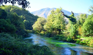 ALBANIA Syri i Kaltr bir karst baharıdır, derinliği hala bilinmemektedir, sık meşe ve çınar ormanlarının ortasında gizlidir. Koyu mavi ve açık renkleri bir öğrenciye ve iris 'e benzer.