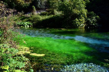 Syri i Kaltr bir karst baharıdır, derinliği hala bilinmemektedir, sık meşe ve çınar ormanlarının ortasında gizlidir. Koyu mavi ve açık renkleri bir öğrenciye ve iris 'e benzer.