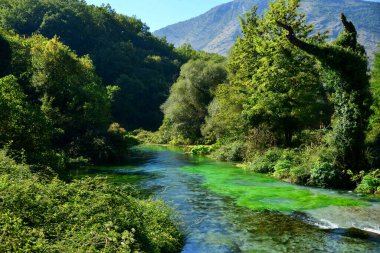 ALBANIA, Syri i Kaltr bir karst baharıdır, derinliği hala bilinmemektedir, sık meşe ve çınar ormanlarının ortasında gizlidir. Koyu mavi ve açık renkleri bir öğrenciye ve iris 'e benzer.