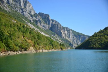 ALBANIA.Lake Koman, Arnavutluk 'un kuzeyindeki Drin Nehri' nde, sık ormanlık tepeler, dikey yamaçlar, derin vadiler ve dar bir vadiyle çevrili bir rezervuar.