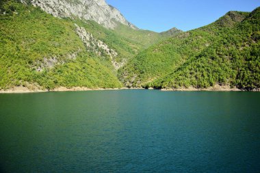 ALBANIA.Lake Koman, Arnavutluk 'un kuzeyindeki Drin Nehri' nde, sık ormanlık tepeler, dikey yamaçlar, derin vadiler ve dar bir vadiyle çevrili bir rezervuar.