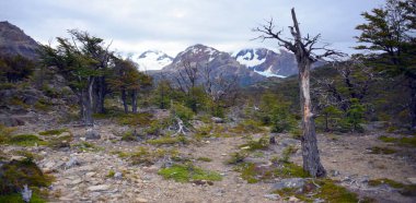 ARGENTINA, El CHALTEN Mount Fitz Roy, Arjantin ve Şili sınırında yer alan bir dağdır. Arjantin tarafında Santa Cruz eyaletindeki Los Glaciares Ulusal Parkı yer almaktadır.