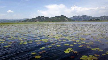 Skadar Gölü Balkan yarımadasındaki en büyük göl. Göl, Arnavutluk ile Karadağ arasındaki sınırda yer alıyor ve yüzeyin yaklaşık 2-3 'ü ikincisine ait..