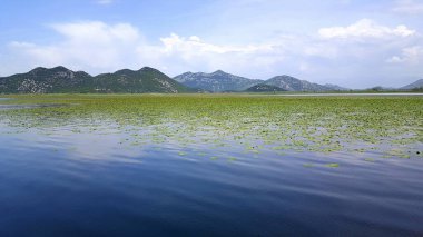Skadar Gölü Balkan yarımadasındaki en büyük göl. Göl, Arnavutluk ile Karadağ arasındaki sınırda yer alıyor ve yüzeyin yaklaşık 2-3 'ü ikincisine ait..